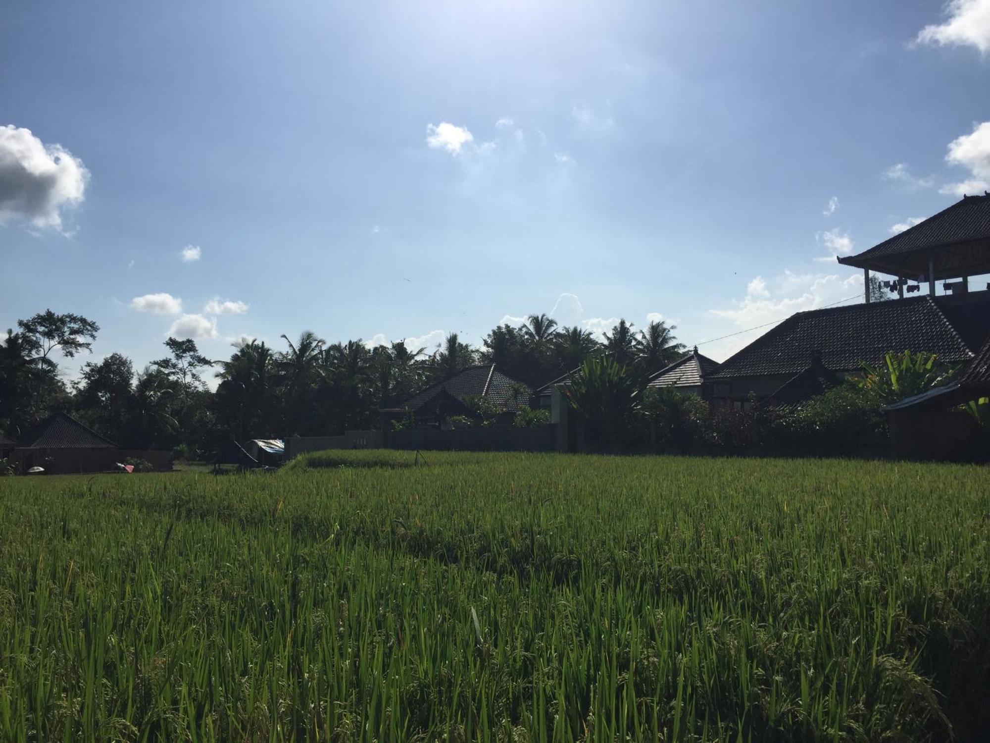 Ratna Villa Ubud Oda fotoğraf