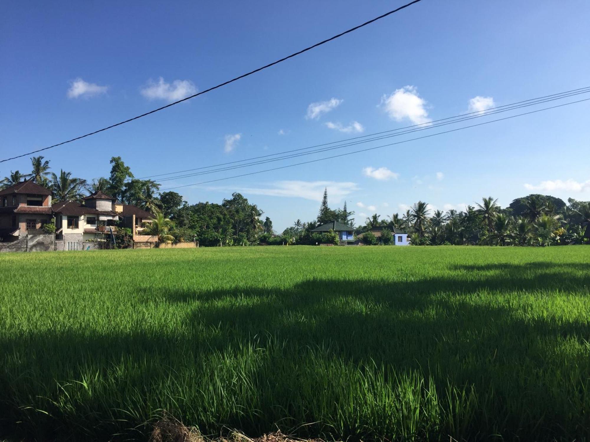 Ratna Villa Ubud Oda fotoğraf